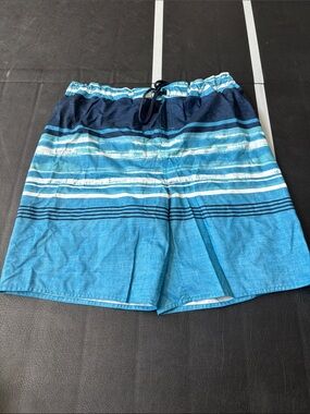 Laguna B Blue Striped Men's Swim Trunks
